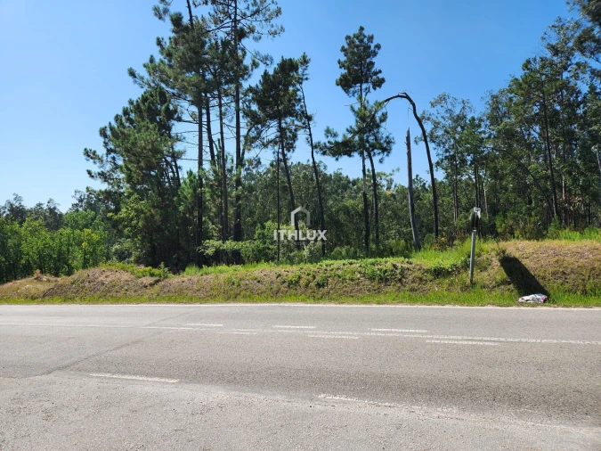 Terreno Agricola ou Rústico para Venda em Louriçal Foto 4