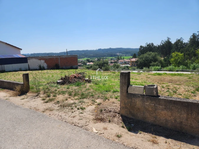 Terreno Agricola ou Rústico para Venda em Louriçal Foto 14