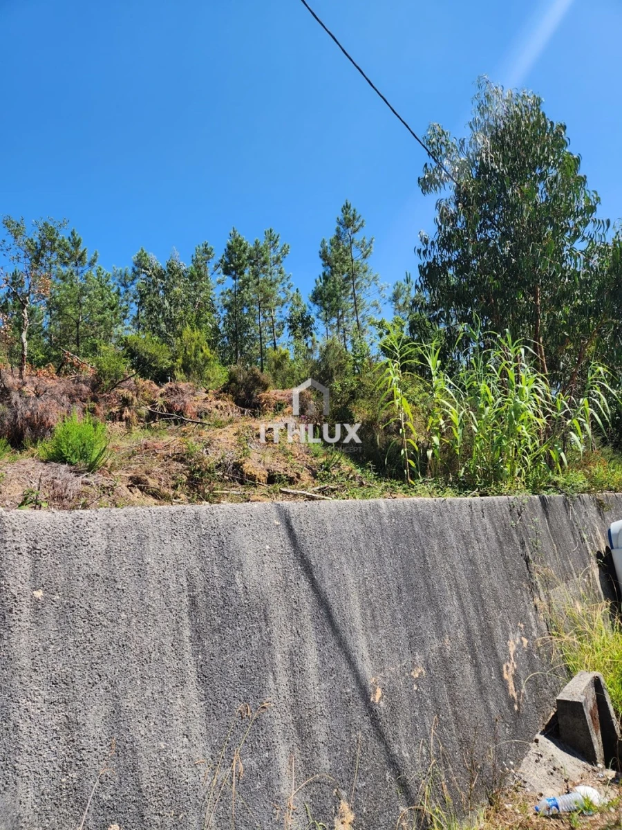 Terreno Agricola ou Rústico para Venda em Louriçal Foto 33