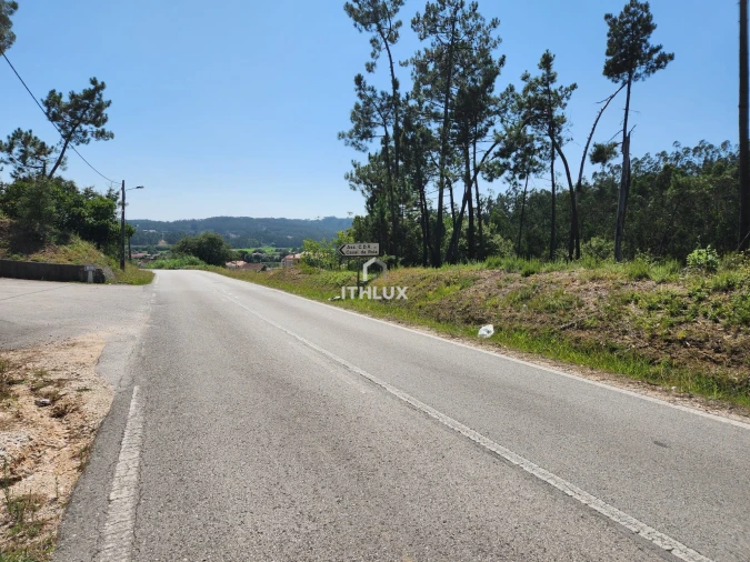 Terreno Agricola ou Rústico para Venda em Louriçal Foto 52