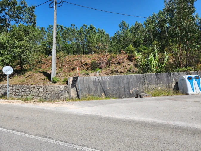 Terreno Agricola ou Rústico para Venda em Louriçal Foto 28