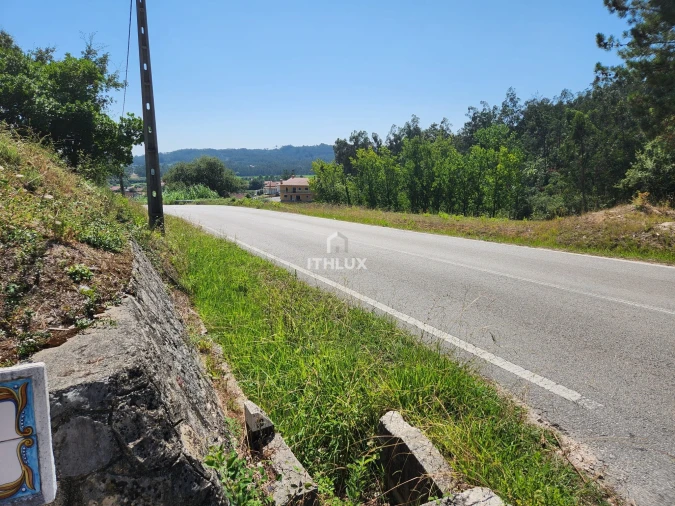 Terreno Agricola ou Rústico para Venda em Louriçal Foto 49