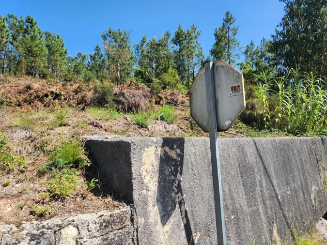Terreno Agricola ou Rústico para Venda em Louriçal Foto 40
