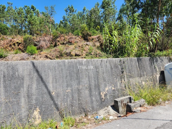 Terreno Agricola ou Rústico para Venda em Louriçal Foto 32