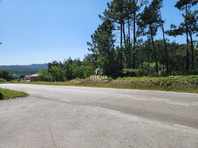 Terreno Agricola ou Rústico para Venda em Louriçal Foto 5