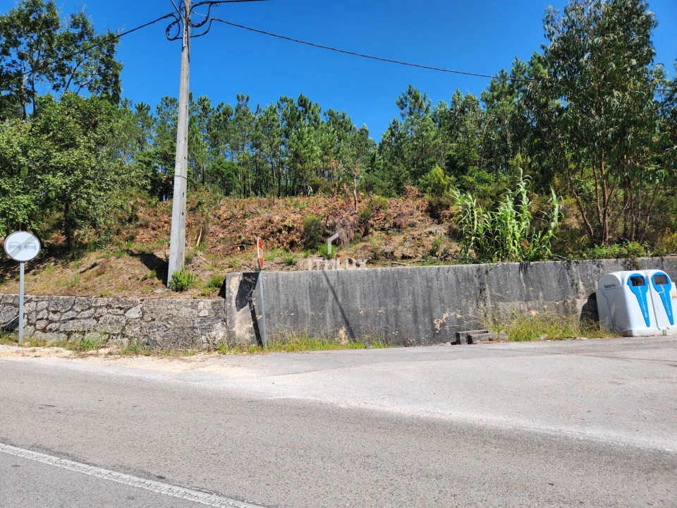Terreno Agricola ou Rústico para Venda em Louriçal Foto 54
