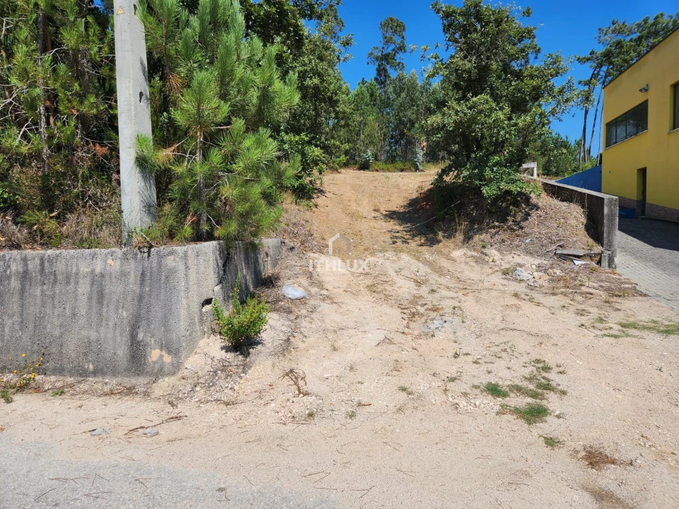 Terreno Agricola ou Rústico para Venda em Louriçal Foto 13