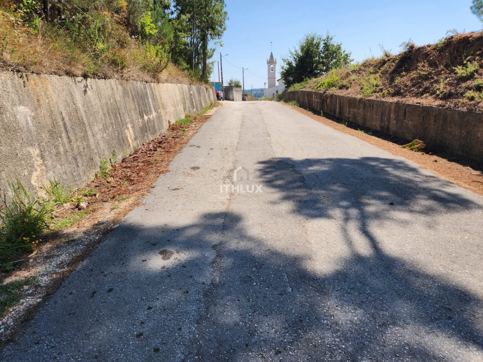 Terreno Agricola ou Rústico para Venda em Louriçal Foto 17
