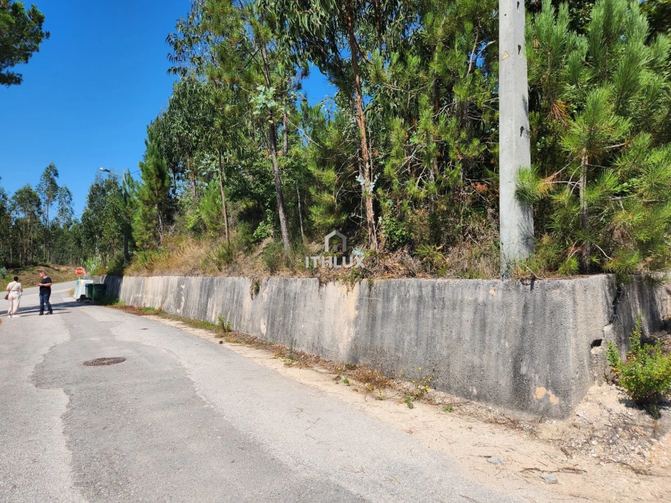 Terreno Agricola ou Rústico para Venda em Louriçal Foto 18