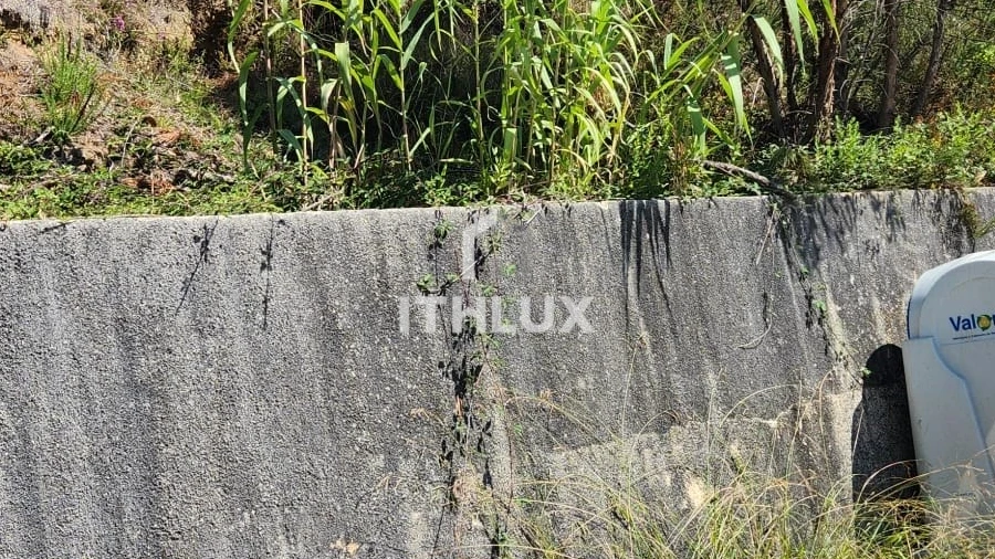 Terreno Agricola ou Rústico para Venda em Louriçal