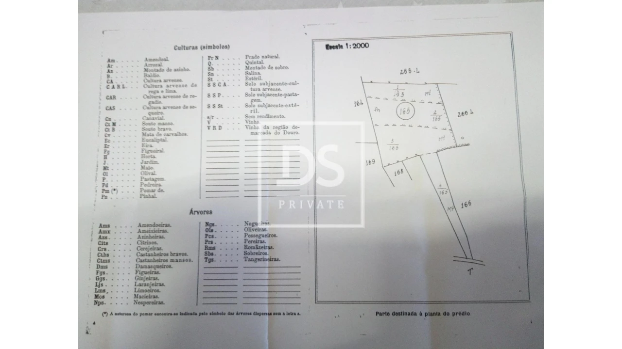 Terreno Agricola ou Rústico para Venda em Agualva e Mira-Sintra Foto 22