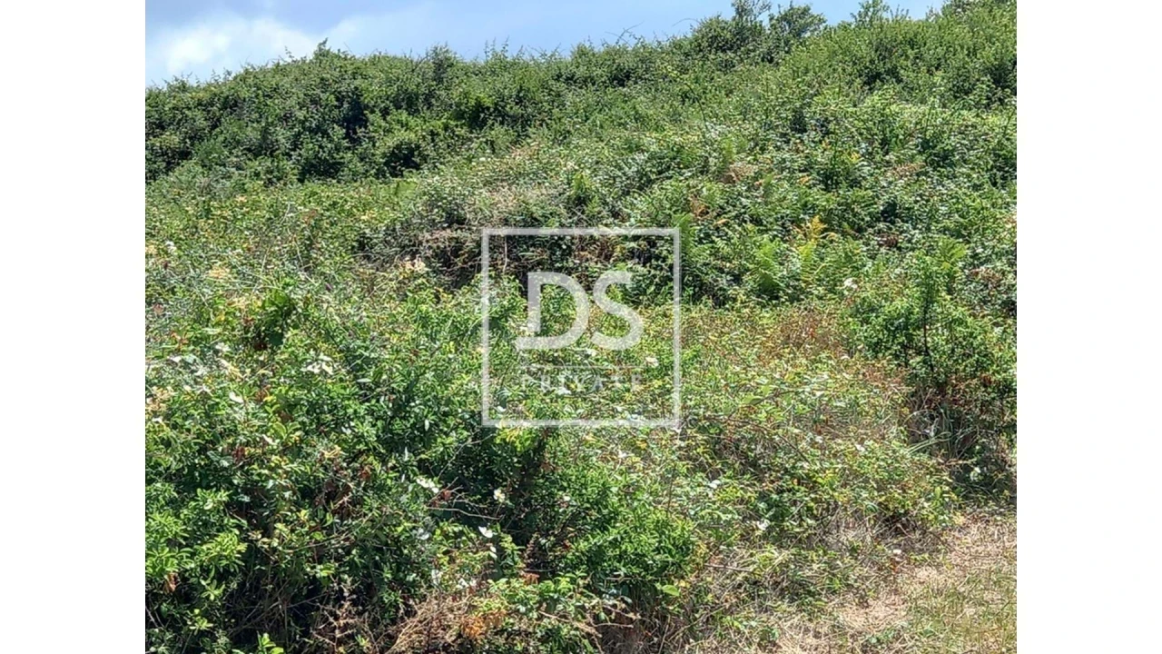 Terreno Agricola ou Rústico para Venda em Agualva e Mira-Sintra Foto 7