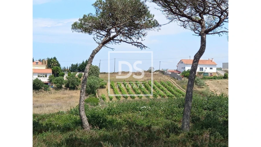 Terreno Agricola ou Rústico para Venda em Agualva e Mira-Sintra Foto 4