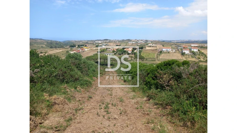 Terreno Agricola ou Rústico para Venda em Agualva e Mira-Sintra Foto 10