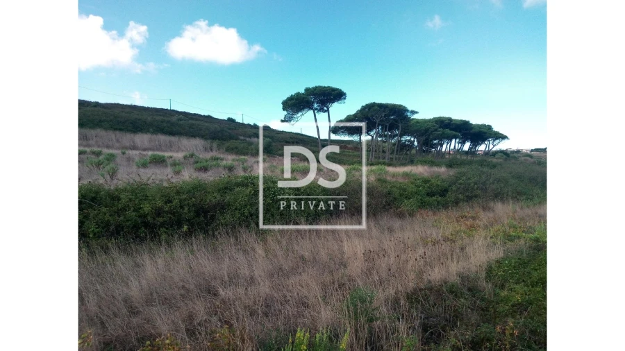 Terreno Agricola ou Rústico para Venda em Agualva e Mira-Sintra Foto 19