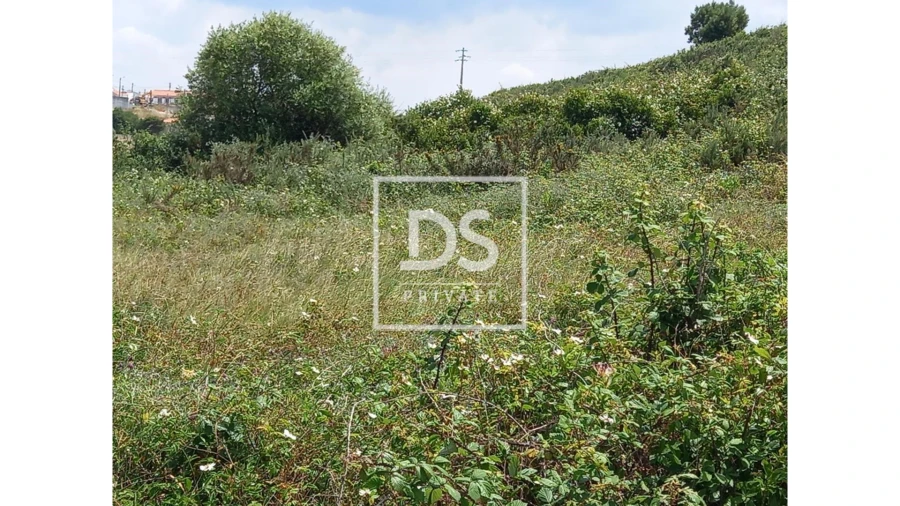 Terreno Agricola ou Rústico para Venda em Agualva e Mira-Sintra Foto 6