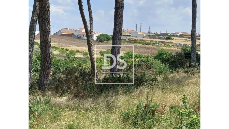 Terreno Agricola ou Rústico para Venda em Agualva e Mira-Sintra Foto 5