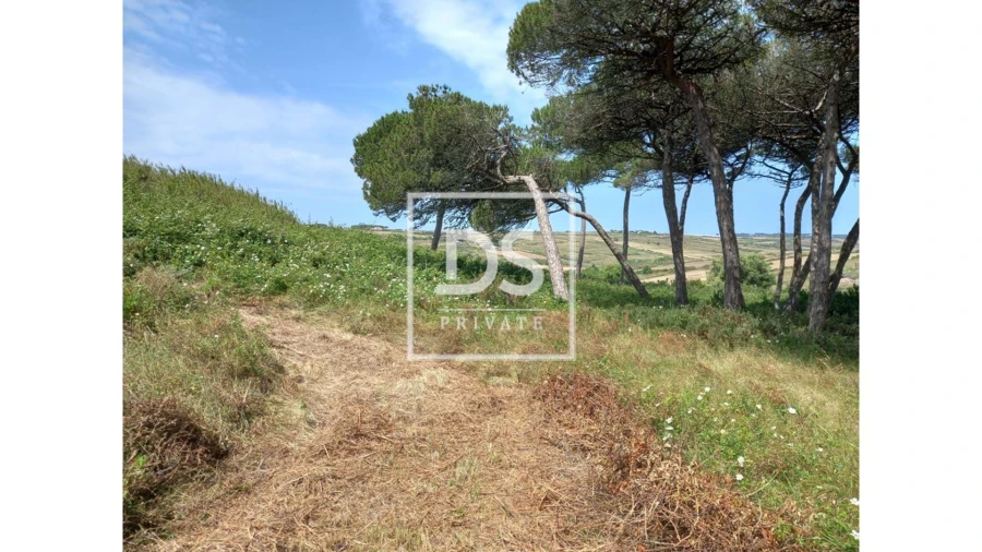 Terreno Agricola ou Rústico para Venda em Agualva e Mira-Sintra Foto 2
