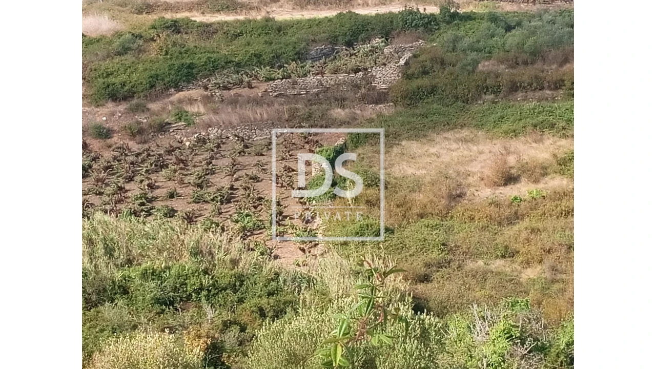 Terreno Agricola ou Rústico para Venda em Agualva e Mira-Sintra Foto 14