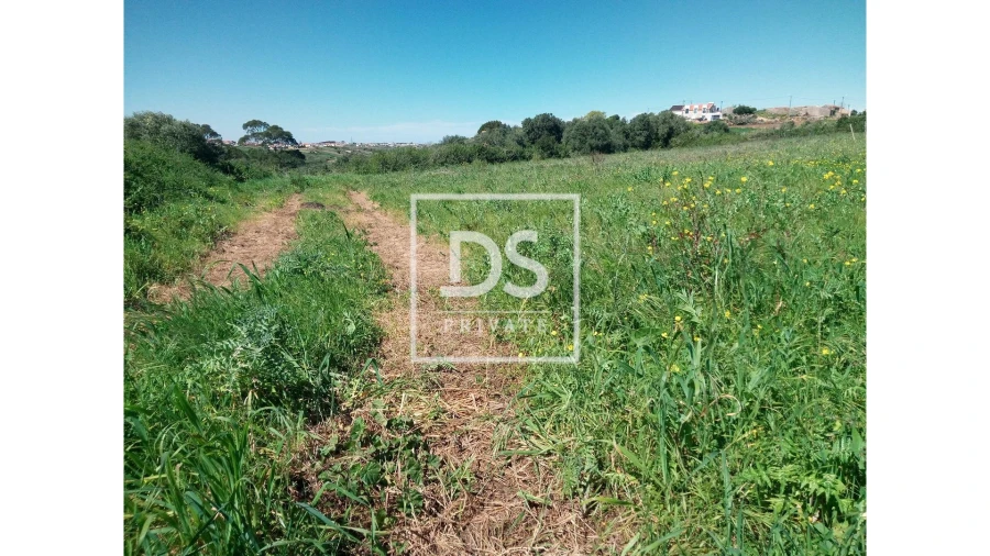 Terreno Agricola ou Rústico para Venda em Agualva e Mira-Sintra Foto 9