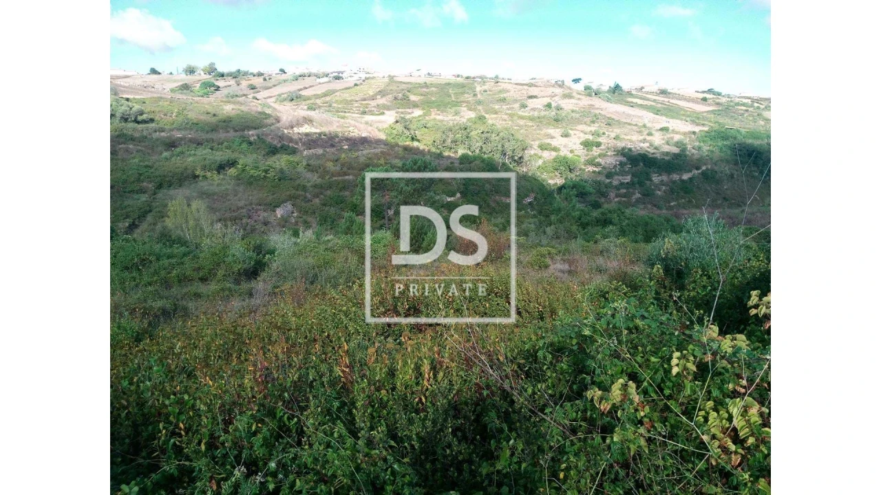 Terreno Agricola ou Rústico para Venda em Agualva e Mira-Sintra Foto 5