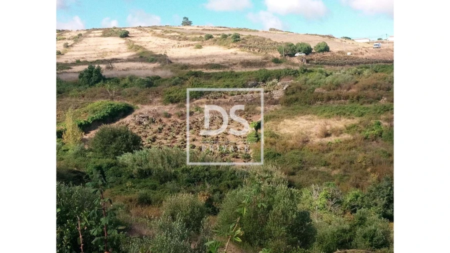 Terreno Agricola ou Rústico para Venda em Agualva e Mira-Sintra Foto 8