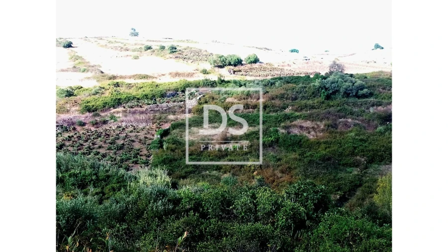 Terreno Agricola ou Rústico para Venda em Agualva e Mira-Sintra Foto 7