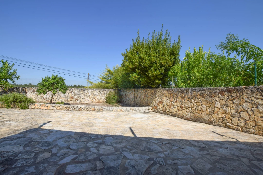 Moradia T4 para Venda em Torres Novas (São Pedro), Lapas e Ribeira Branca Foto 57