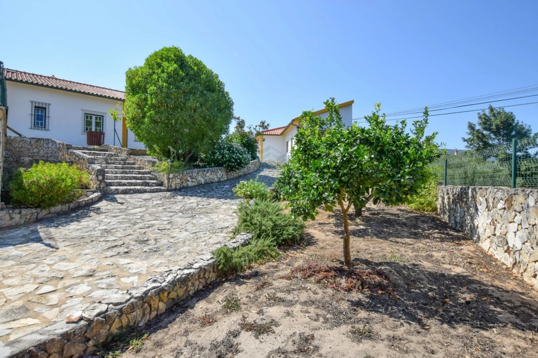 Moradia T4 para Venda em Torres Novas (São Pedro), Lapas e Ribeira Branca Foto 53