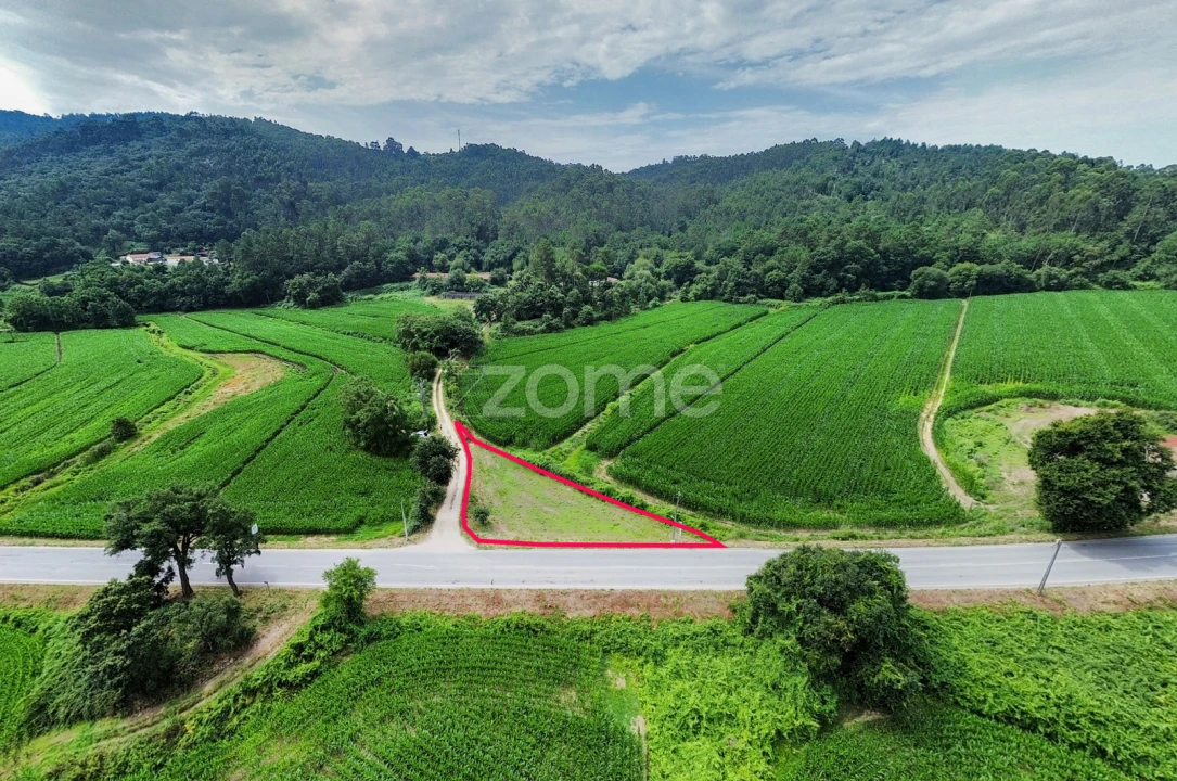 Terreno para Venda em Areias de Vilar e Encourados Foto 14