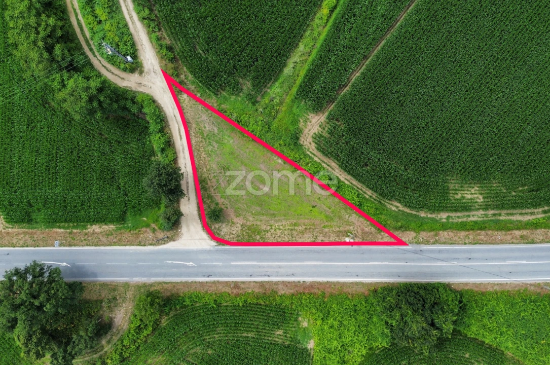 Terreno para Venda em Areias de Vilar e Encourados Foto 15