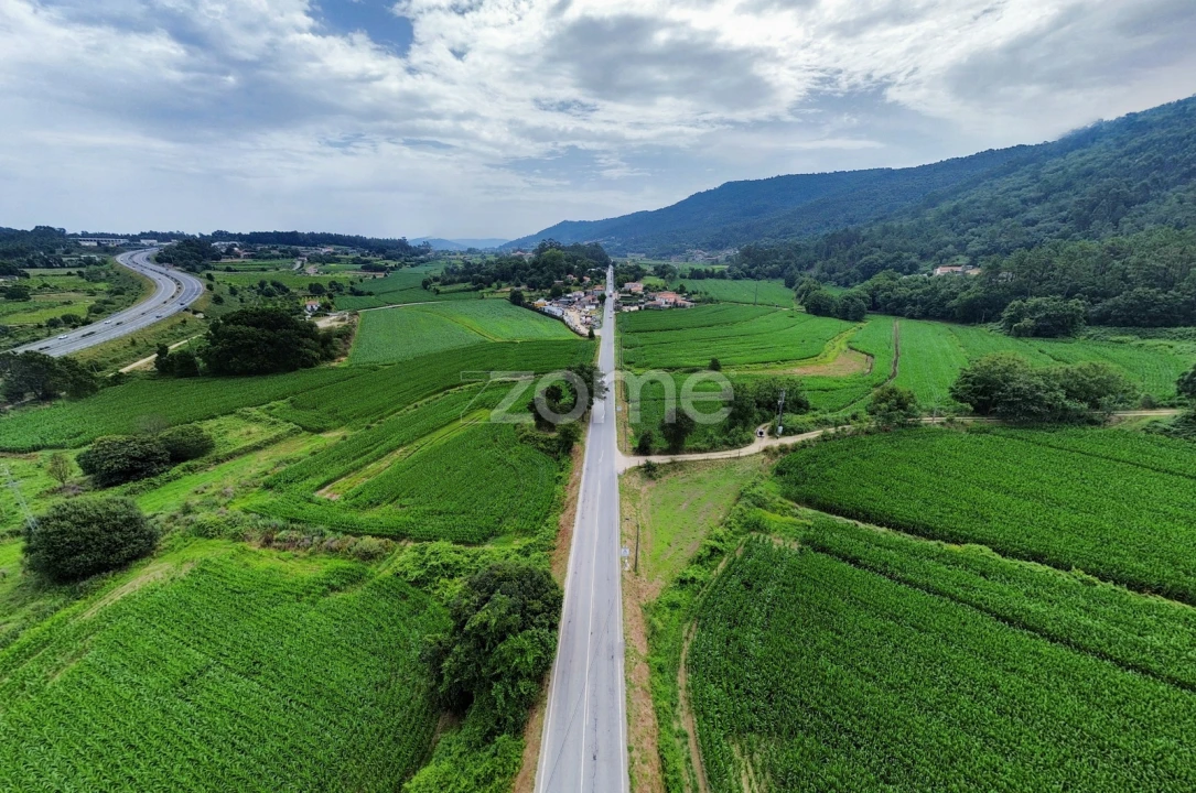 Terreno para Venda em Areias de Vilar e Encourados Foto 1