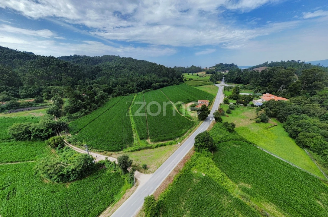 Terreno para Venda em Areias de Vilar e Encourados Foto 3