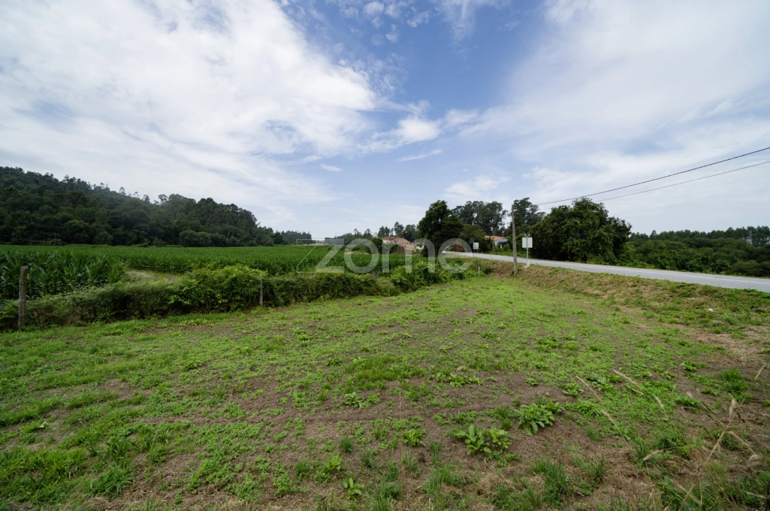Terreno para Venda em Areias de Vilar e Encourados Foto 8