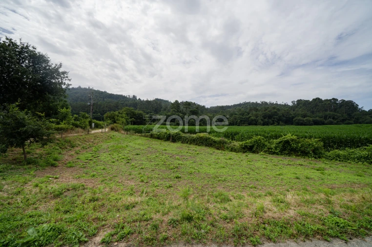 Terreno para Venda em Areias de Vilar e Encourados Foto 10