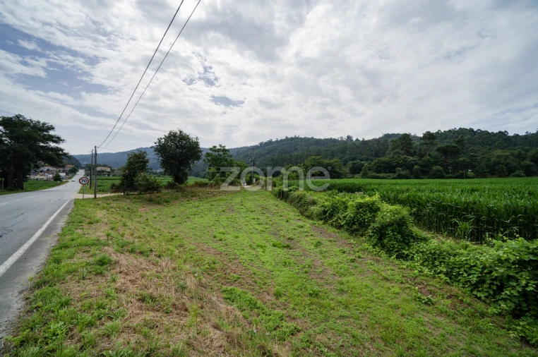 Terreno para Venda em Areias de Vilar e Encourados Foto 11
