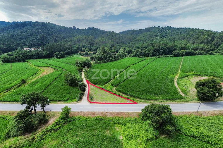 Terreno para Venda em Areias de Vilar e Encourados Foto 14