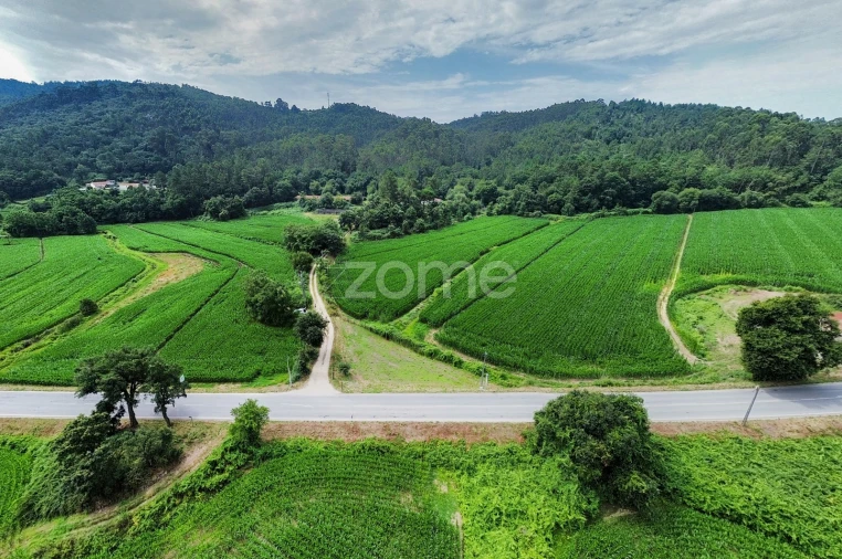 Terreno para Venda em Areias de Vilar e Encourados Foto 4