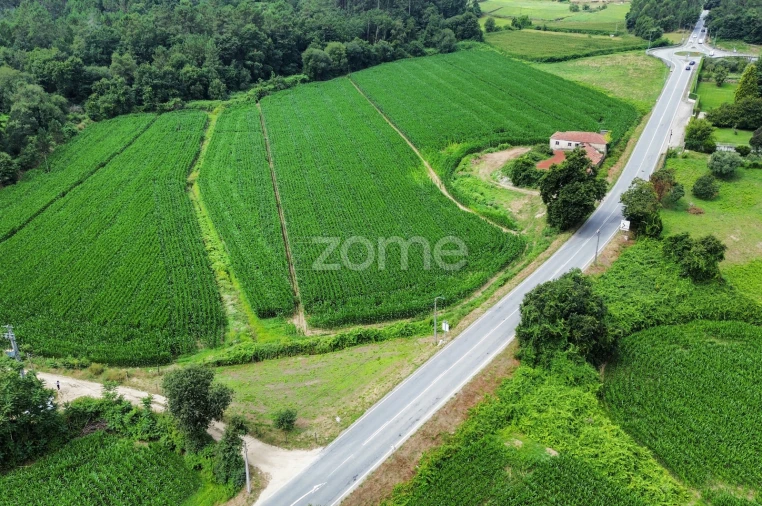 Terreno para Venda em Areias de Vilar e Encourados Foto 6