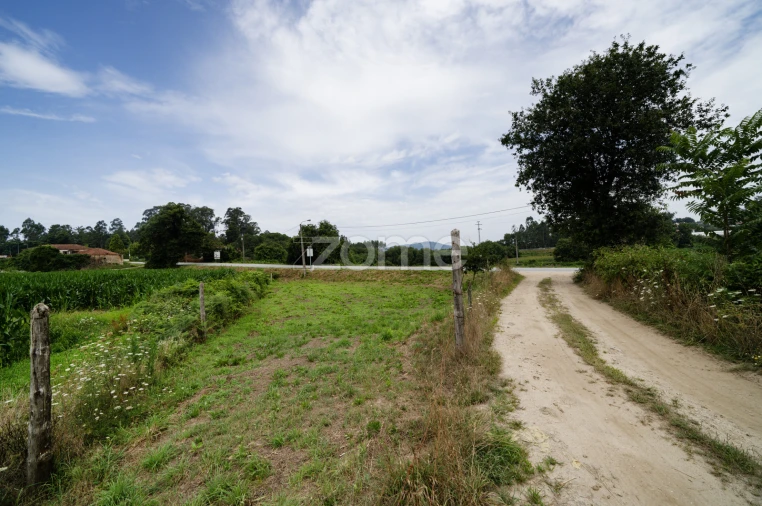 Terreno para Venda em Areias de Vilar e Encourados Foto 7