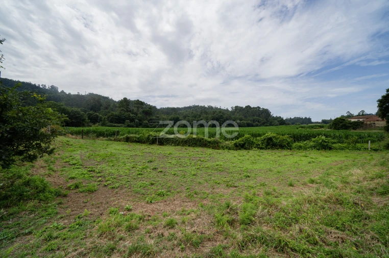 Terreno para Venda em Areias de Vilar e Encourados Foto 9