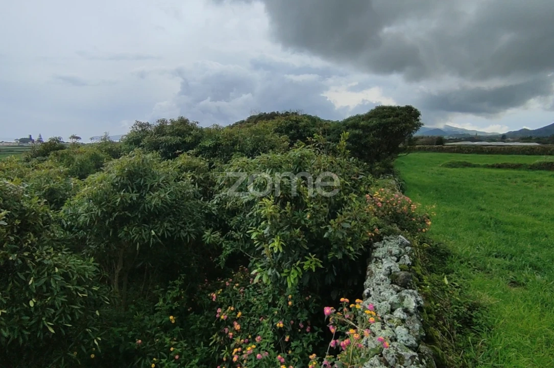 Terreno para Venda em Calhetas Foto 6