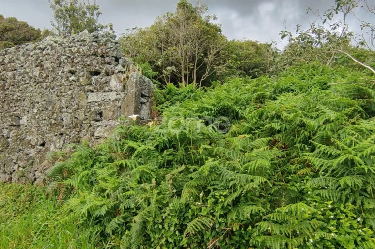 Terreno para Venda em Calhetas Foto 4