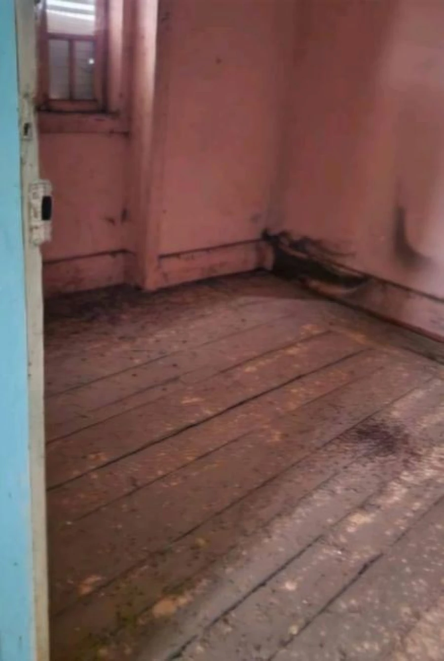 Quinta T4 para Venda em Travanca de Lagos Foto 6