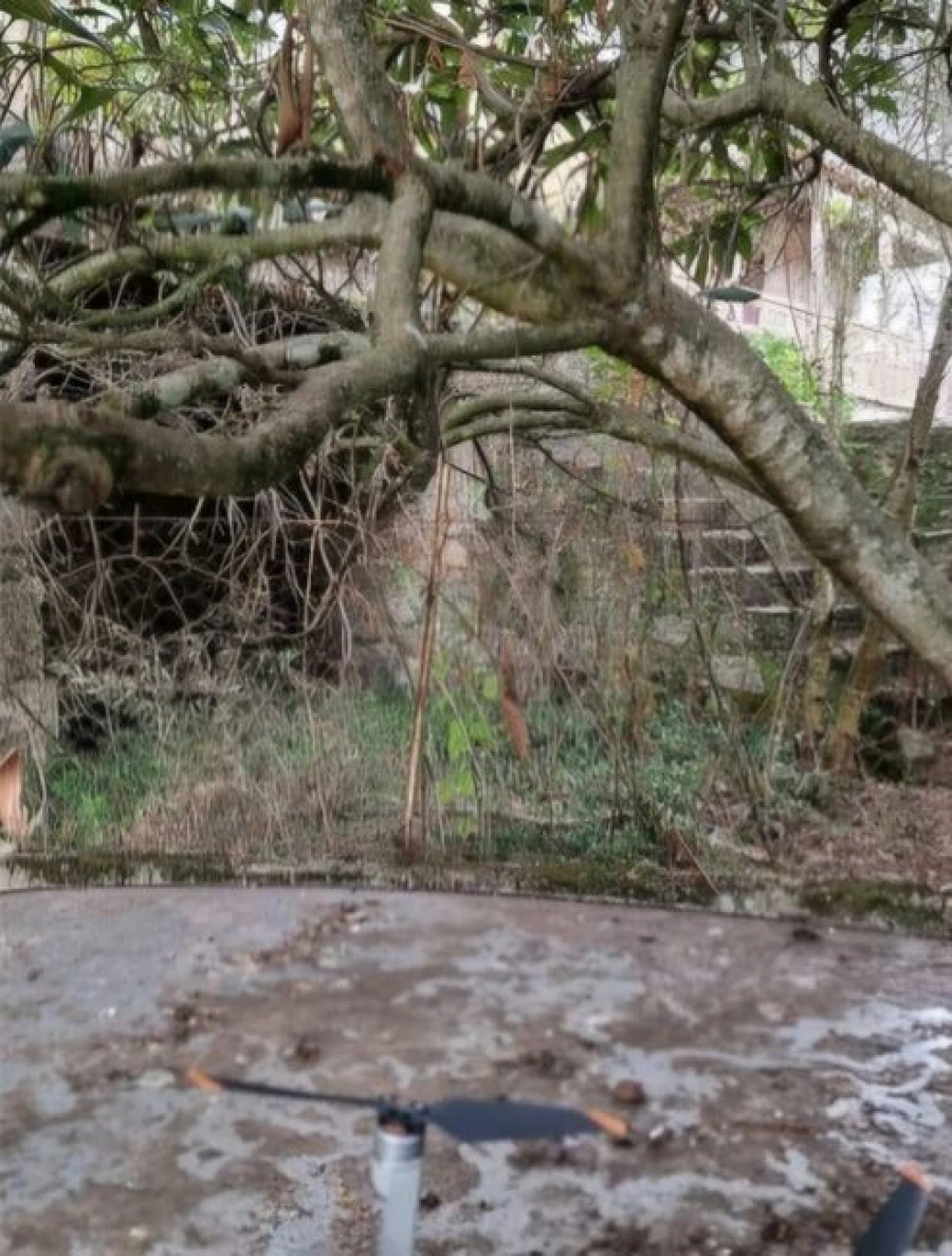 Quinta T4 para Venda em Travanca de Lagos Foto 8