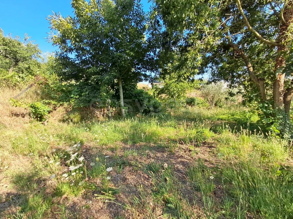 Quinta T2 para Venda em Dardavaz Foto 13