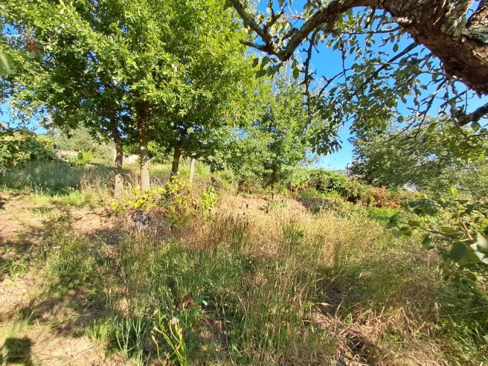 Quinta T2 para Venda em Dardavaz Foto 16