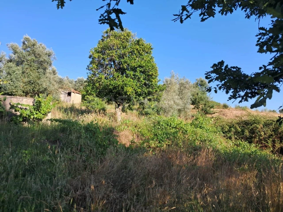 Quinta T2 para Venda em Dardavaz Foto 17