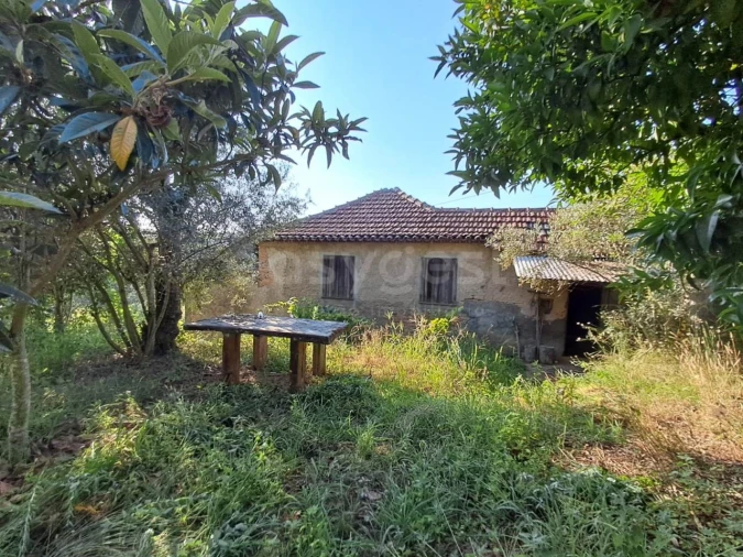 Quinta T2 para Venda em Dardavaz Foto 3