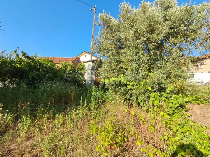 Quinta T2 para Venda em Dardavaz Foto 4